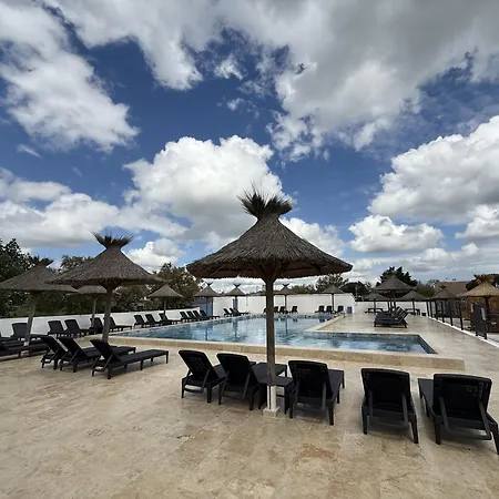 Hotel Mas Des Lys Saintes-Maries-de-la-Mer Exterior photo